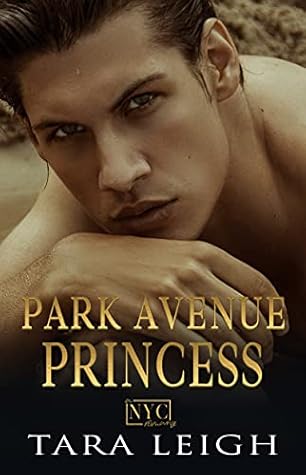Park Avenue Princess (New York City Romance, #1)