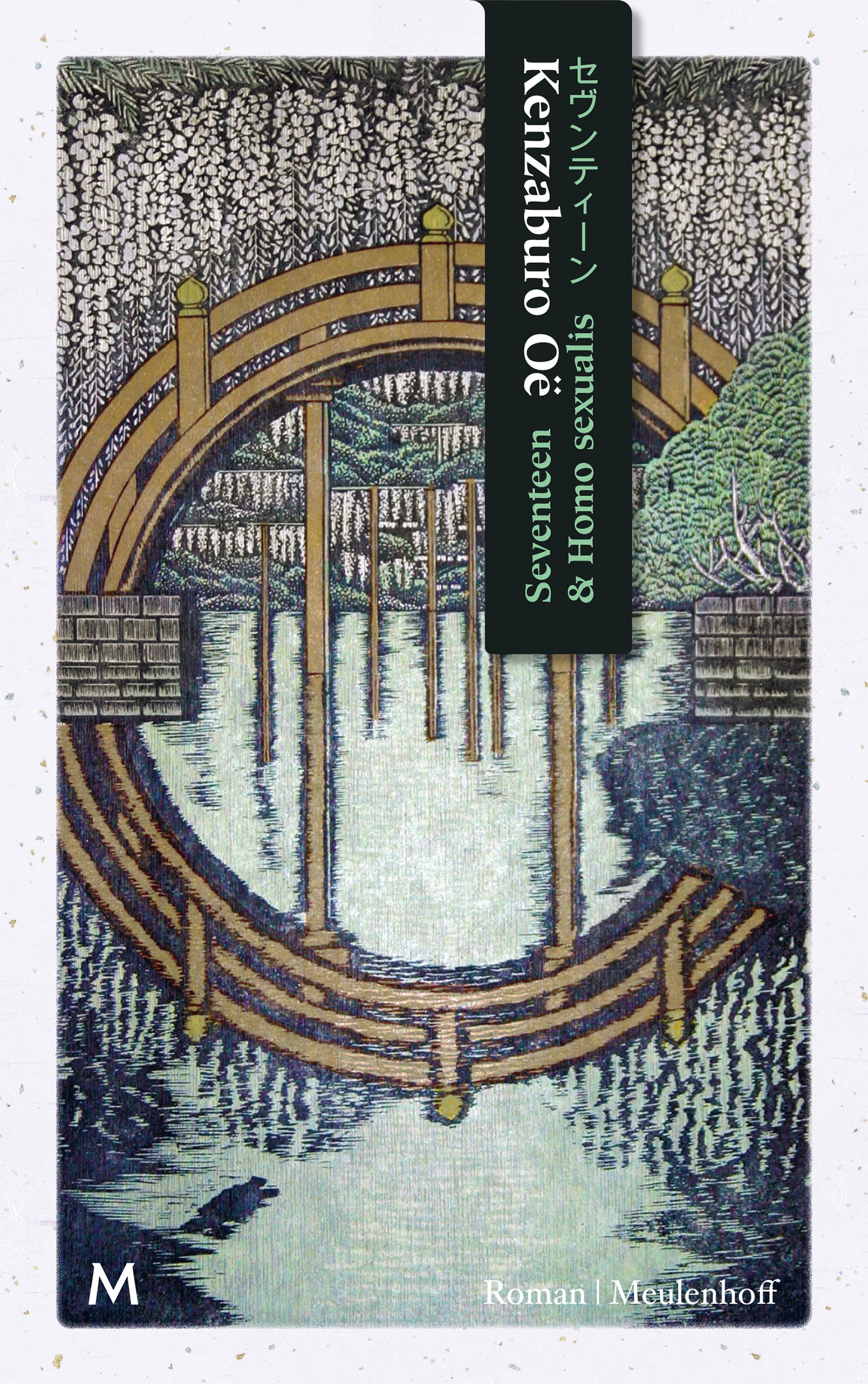 Seventeen & Homo sexualis (Hardcover)