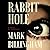 Rabbit Hole
