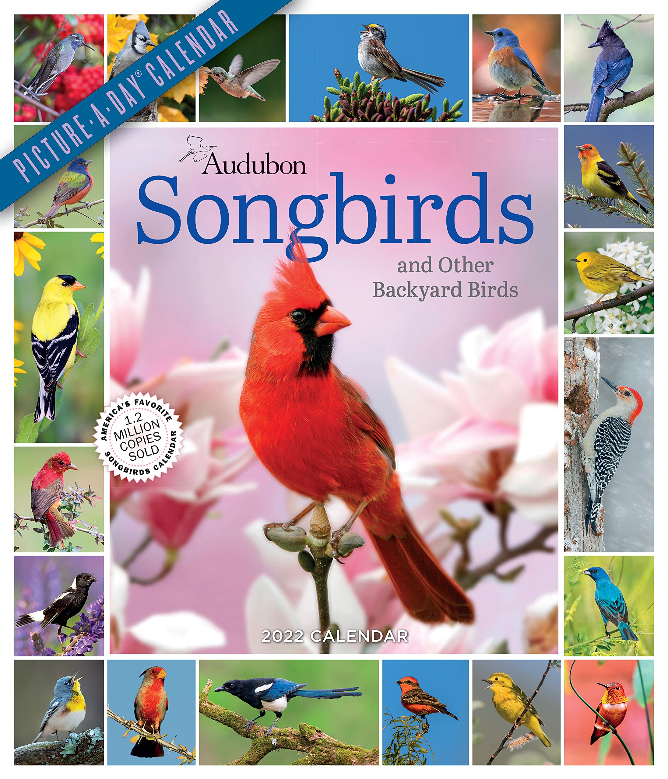 Audubon Songbirds and Other Backyard Birds Picture-A-Day Wall Calendar 2022: Your Daily Sighting of Songsters that Bring Color, Joy, and Sweet Melodies. (Calendar)