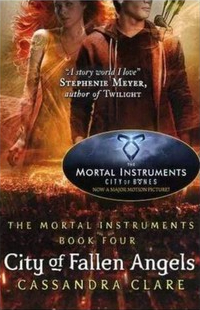City of Fallen Angels