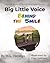 Big Little Voice Behind the...