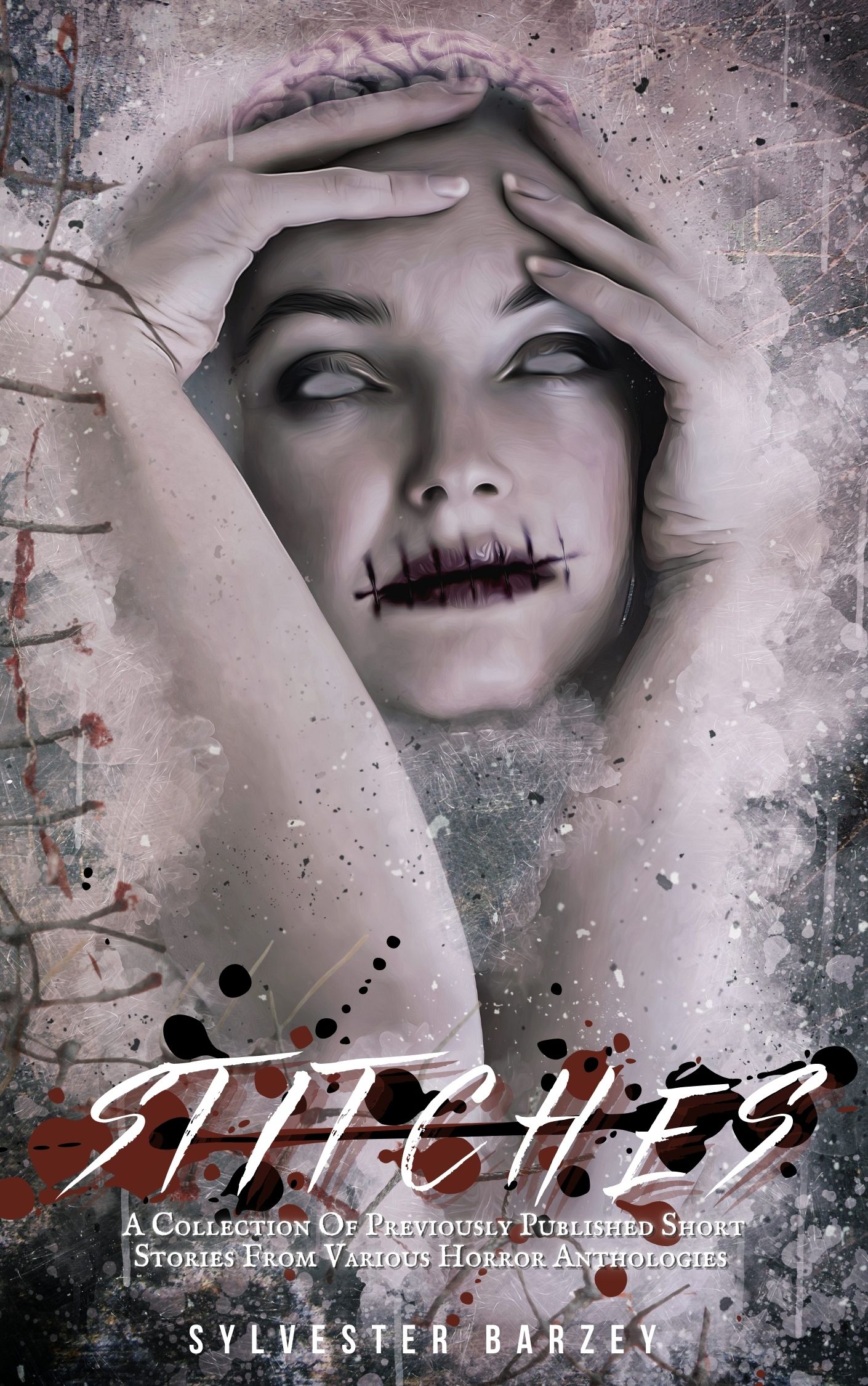 Stitches: A Collection Of Short Stories From Various Horror Anthologies (Kindle Edition)