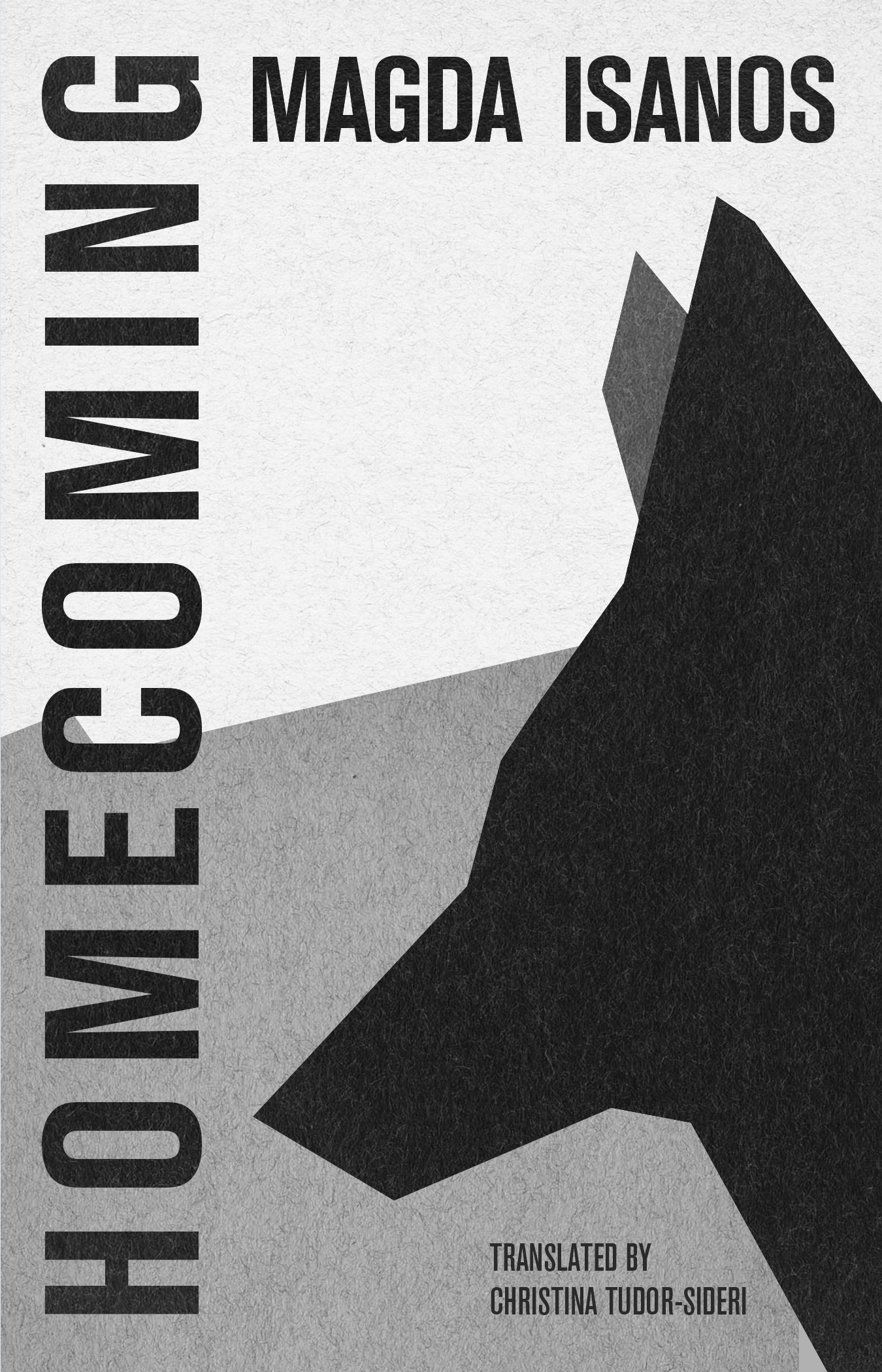 Homecoming (Paperback)