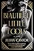 Beautiful Little Fools by Jillian Cantor