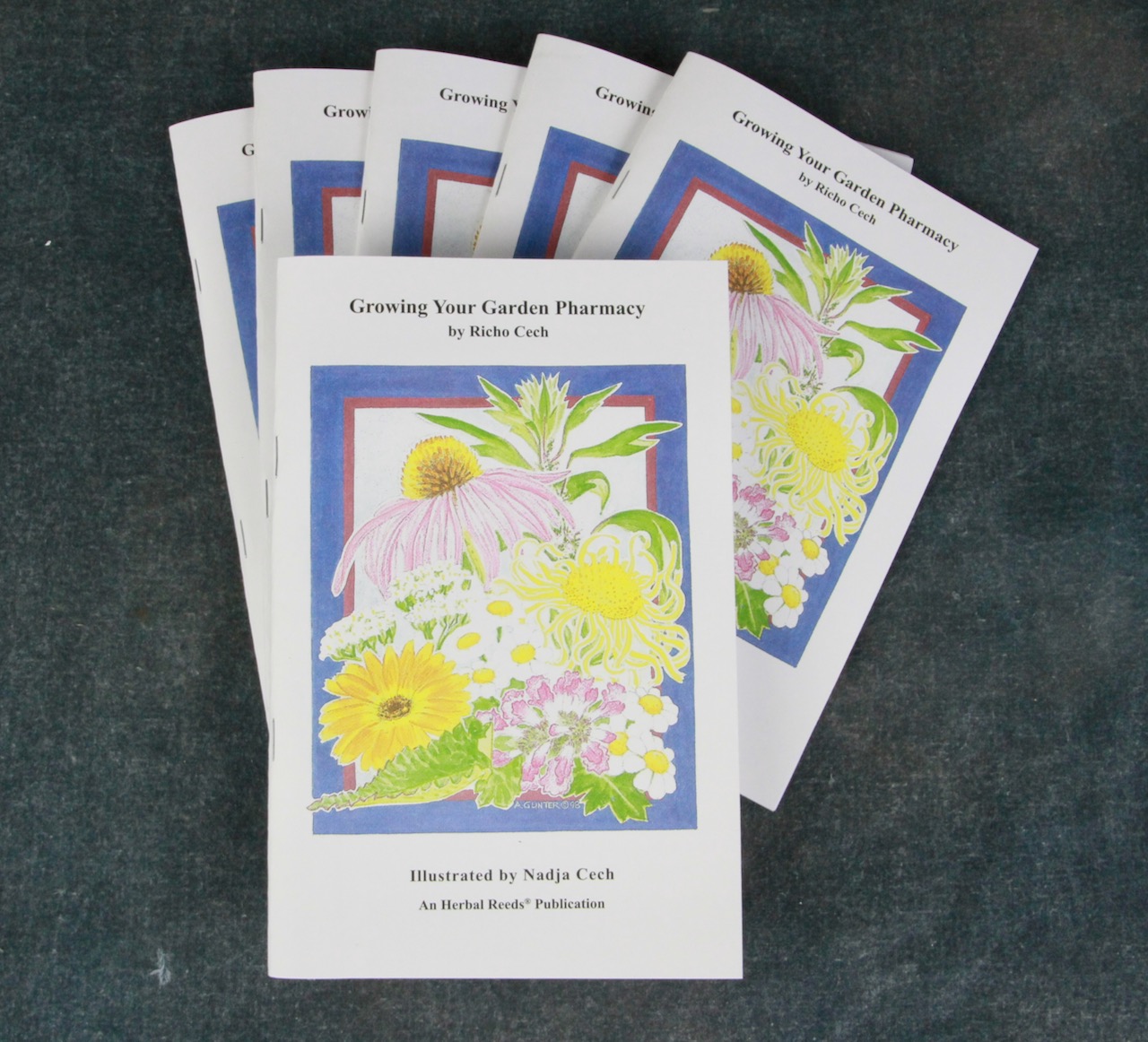 Growing Your Garden Pharmacy