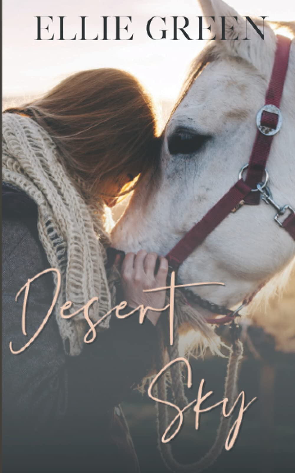 Desert Sky (Paperback)