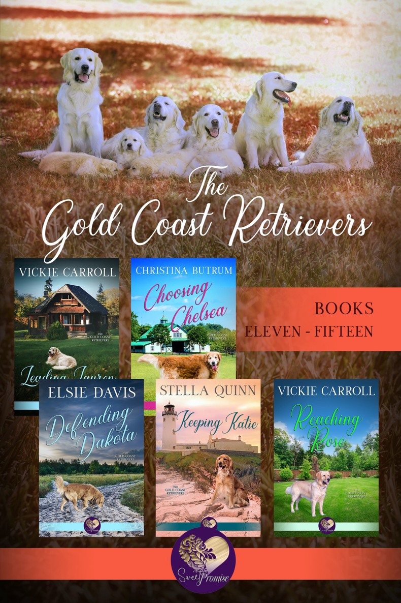 The Gold Coast Retrievers, Books 11-15