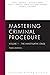 Mastering Criminal Procedur...