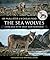 The Sea Wolves by Nicholas Read
