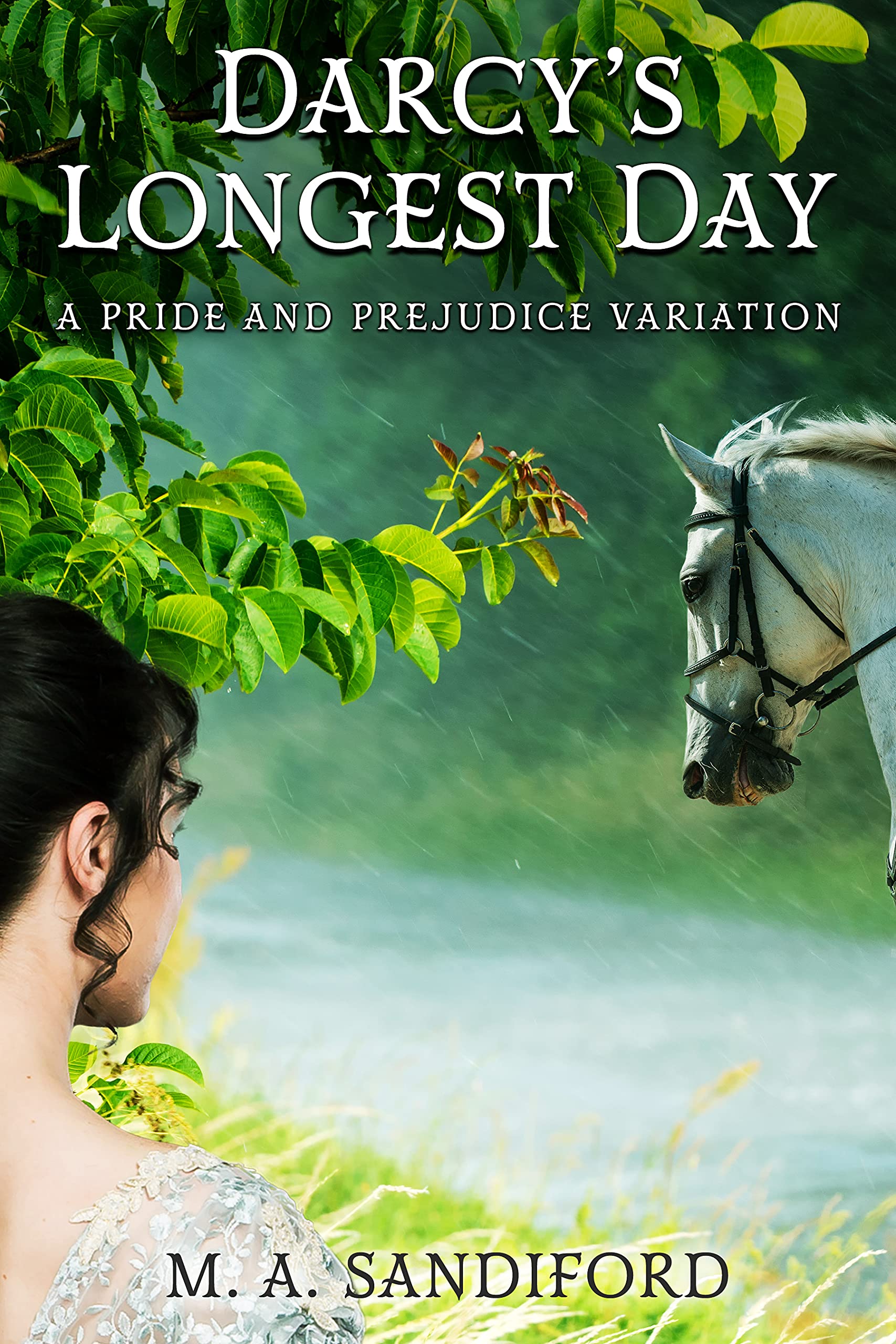 Darcy's Longest Day: A Pride and Prejudice Variation (Kindle Edition)