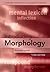 Introducing Morphology (Cambridge Introductions to Language and Linguistics)