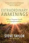 Extraordinary Awakenings by Steve Taylor