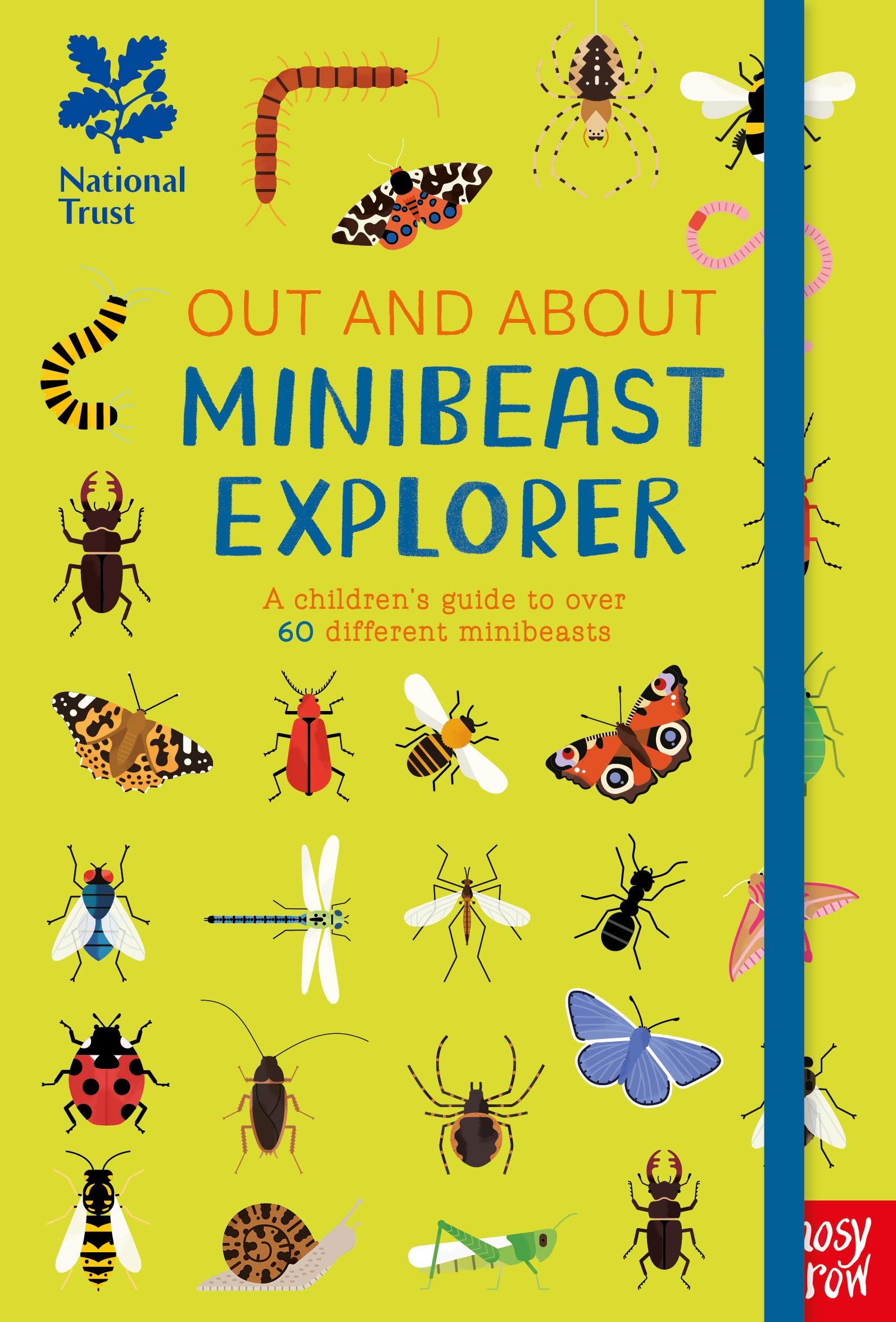 National Trust: Out and About Minibeast Explorer: A children's guide to over 60 different minibeasts (Hardcover)