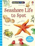 Seashore Life to spot