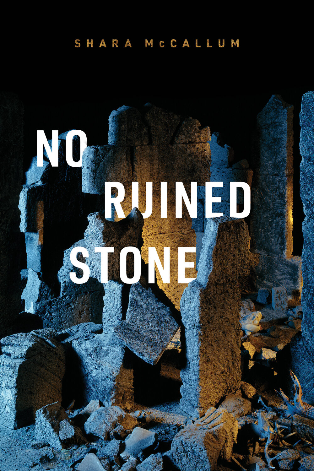 No Ruined Stone (Kindle Edition)