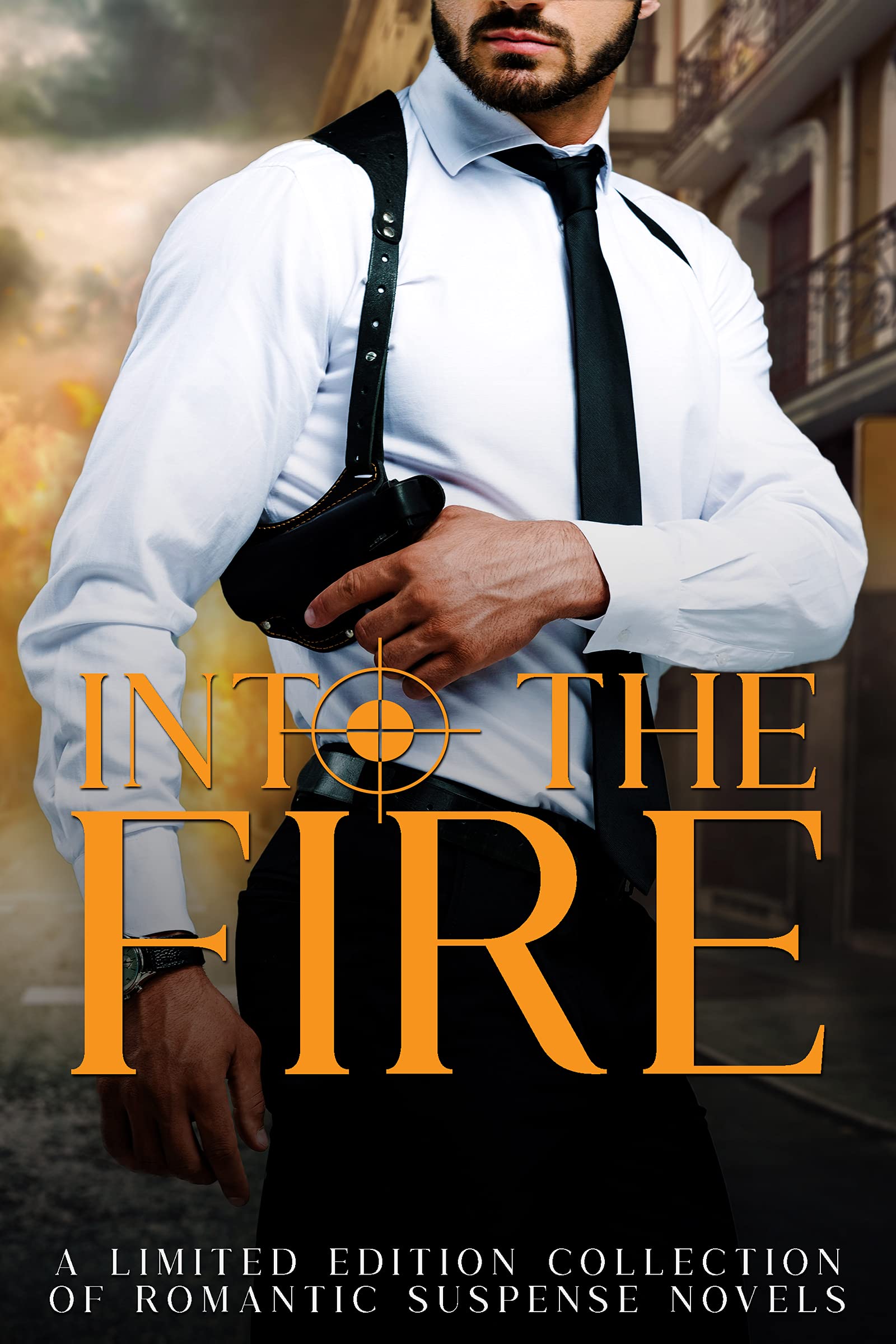Into the Fire (Kindle Edition)