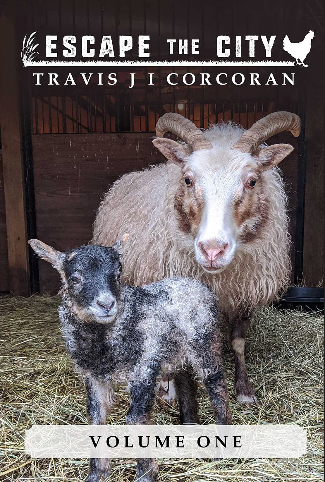 Escape the City volume 1 (Escape the City: A How-To Homesteading Guide)