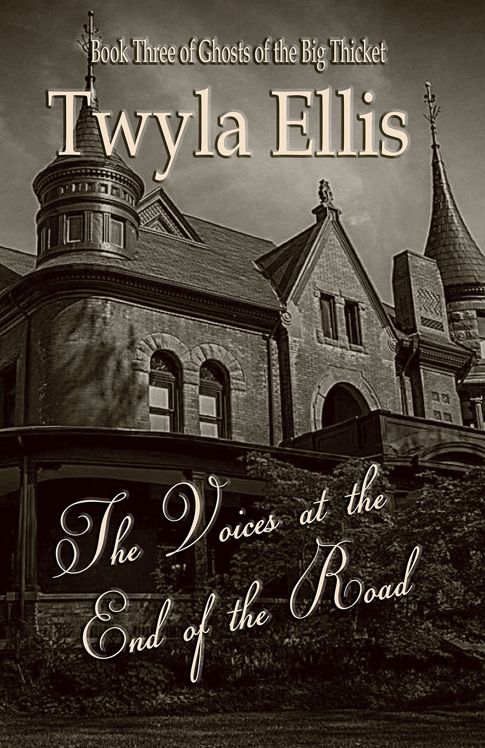The Voices at the End of the Road: Book Three of Ghosts of the Big Thicket (Kindle Edition)