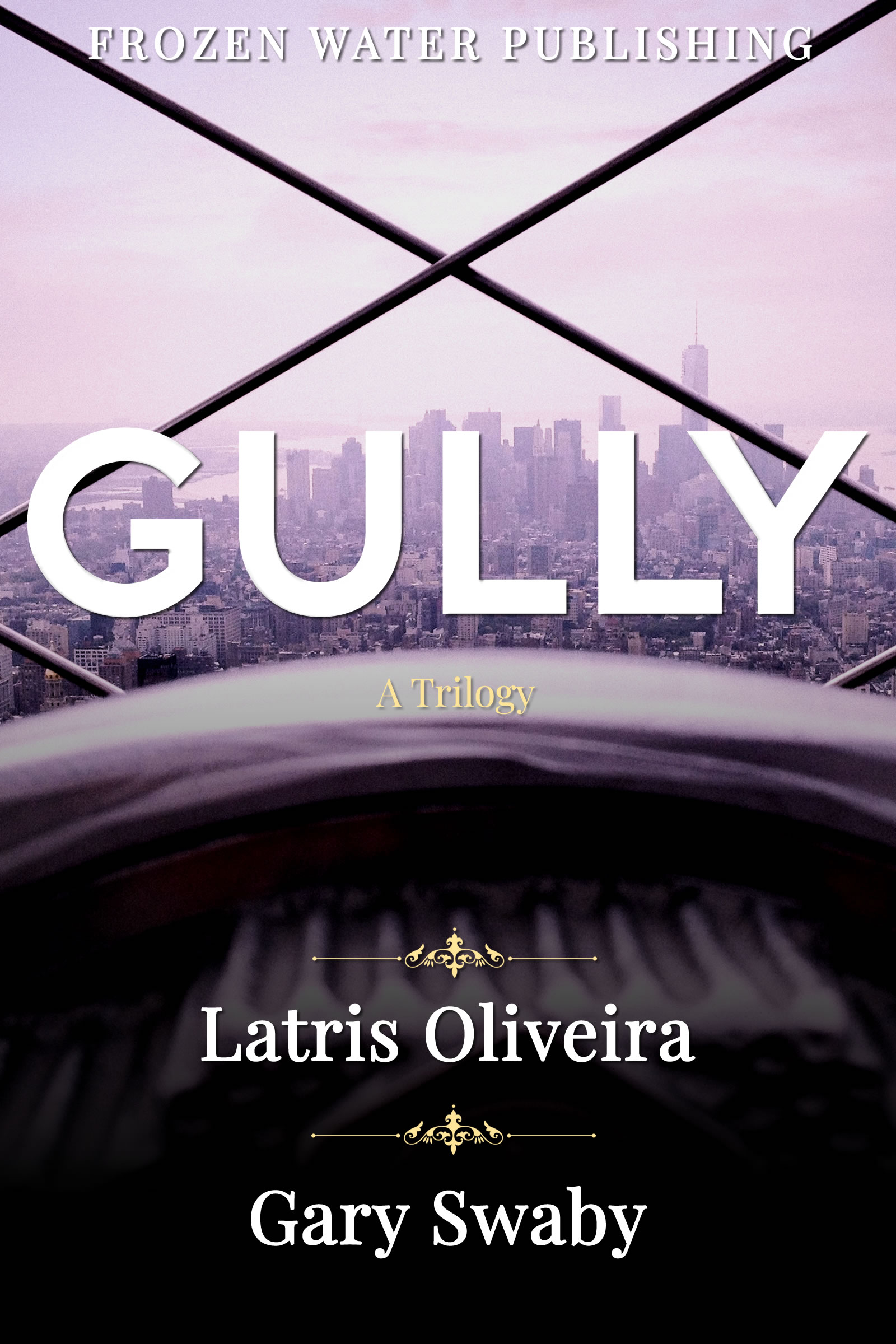 Gully
