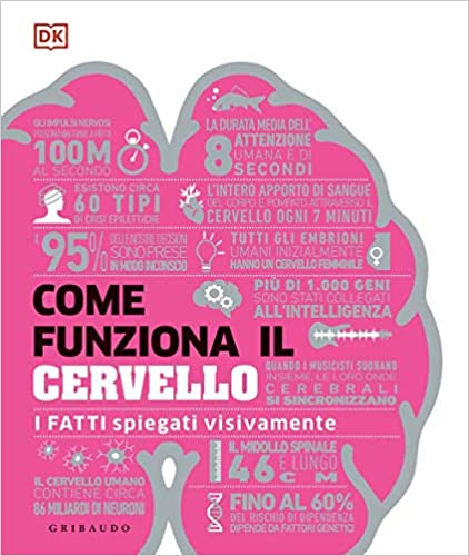 Come funziona il cervello. I fatti spiegati visivamente