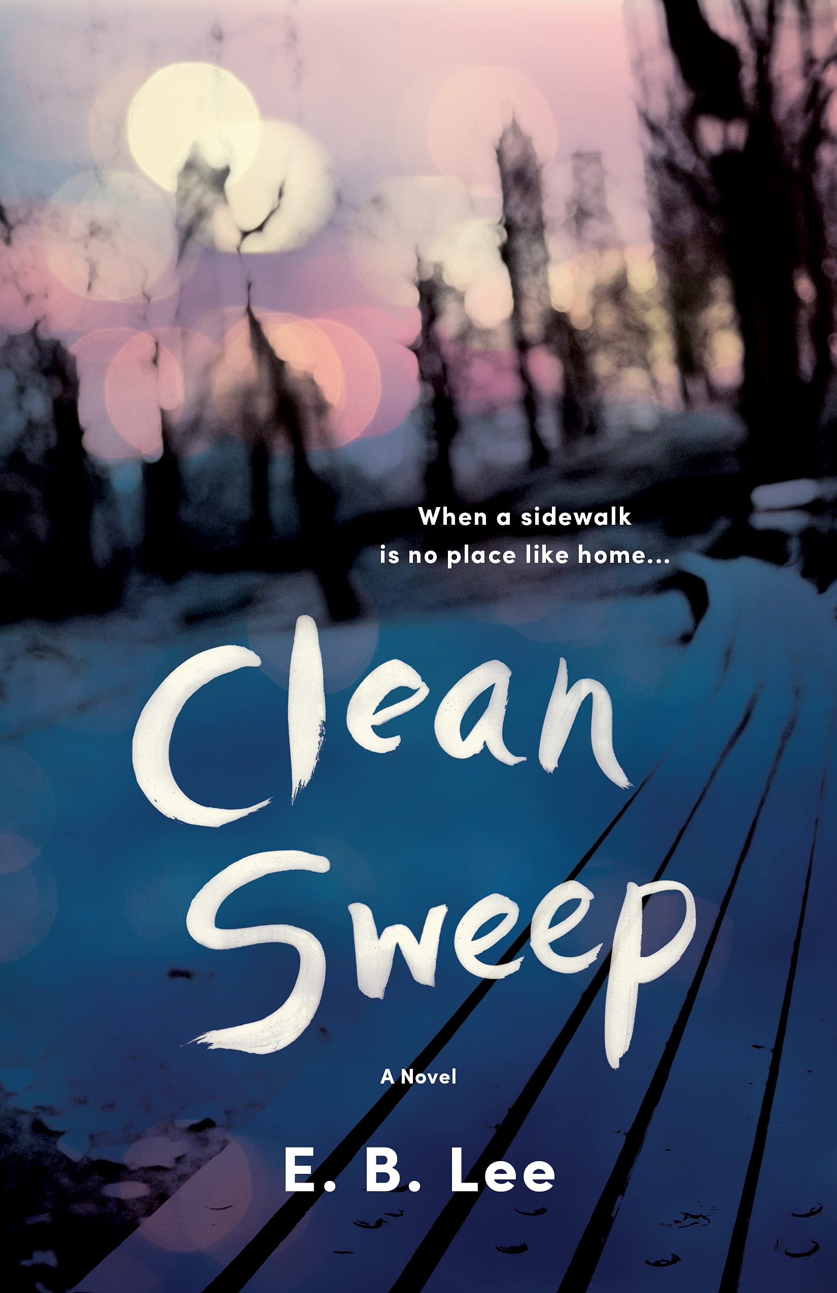 Clean Sweep: A Novel (Kindle Edition)