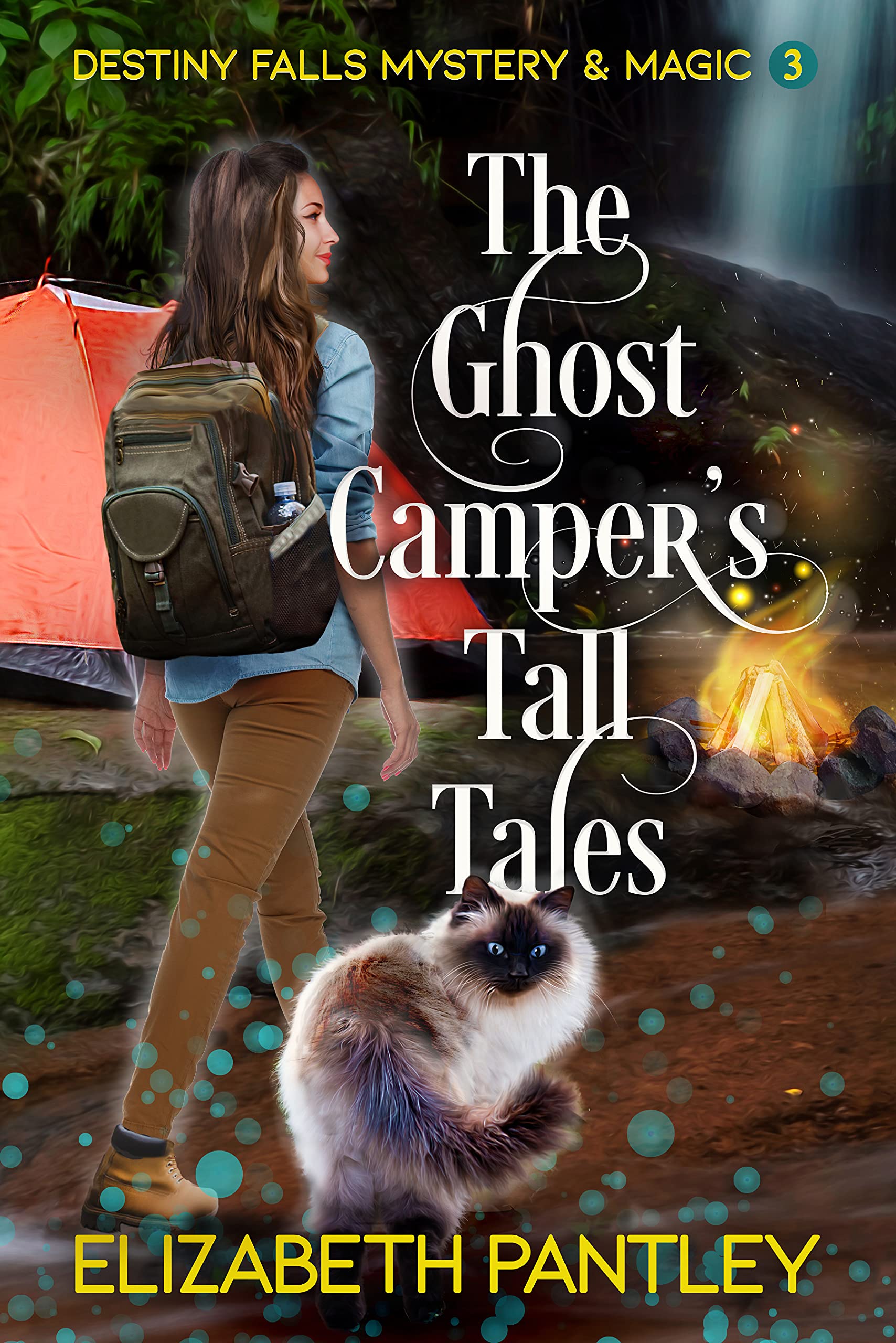 The Ghost Camper's Tall Tales (Destiny Falls Mystery & Magic, #3)