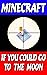 Minecraft: If You Could Go to the Moon