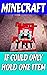 Minecraft: If Could Only Ho...