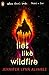 Lies Like Wildfire by Jennifer Lynn Alvarez