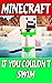 Minecraft: If You Couldn't ...