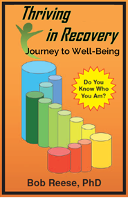 Thriving in Recovery: Journey to Well-Being (Paperback)