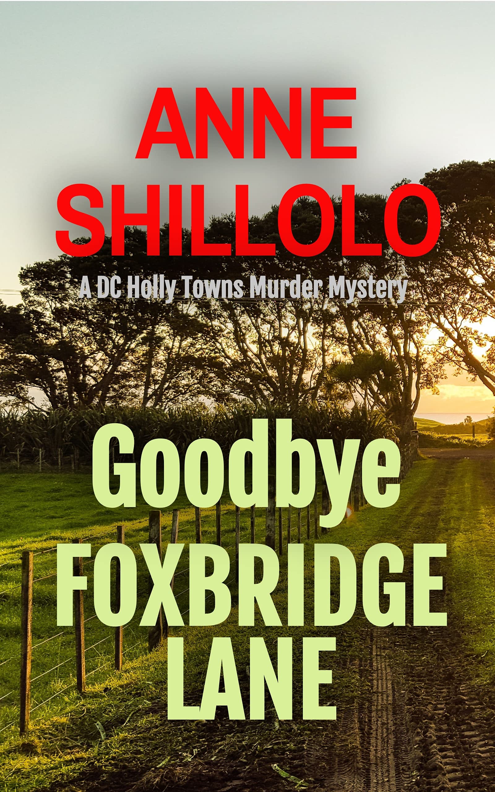 Goodbye Foxbridge Lane (DC Holly Towns #0.5)