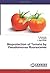 Bioprotection of Tomato by Pseudomonas fluorescenes by R. Manikandan