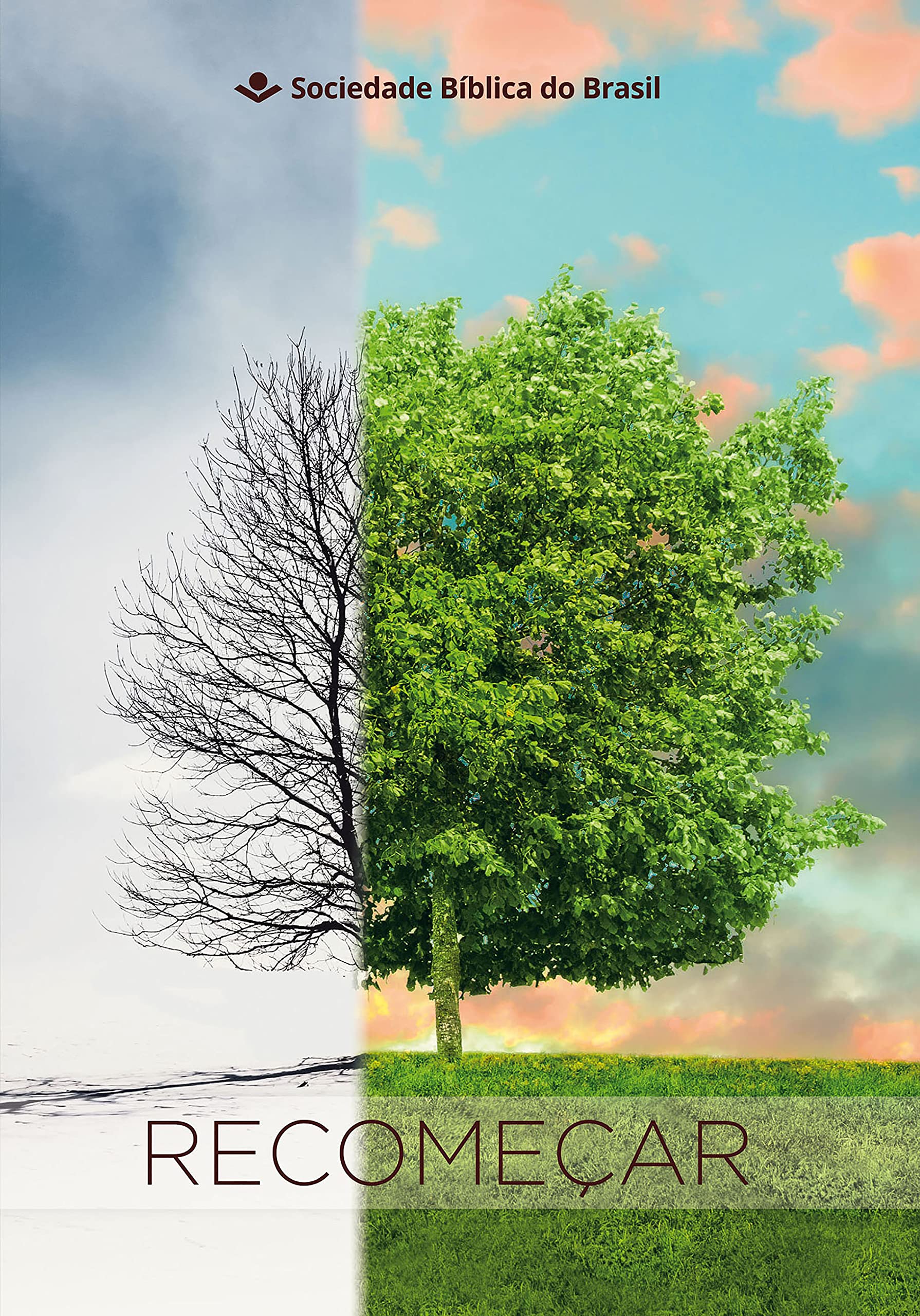 Recomeçar: Reflexões Bíblicas (Portuguese Edition)