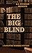 The Big Blind (Samantha Summers Mysteries, #9)