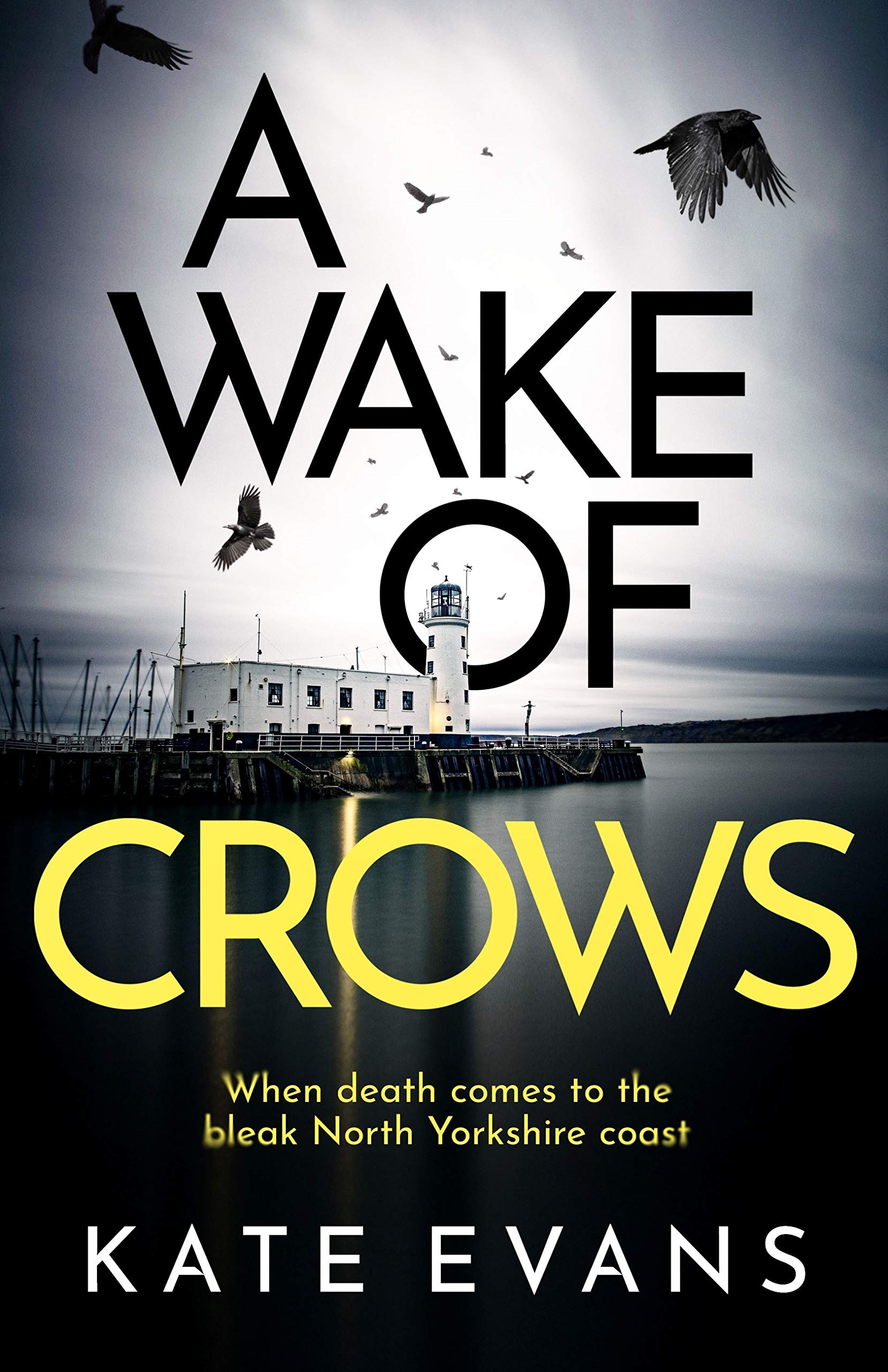 A Wake of Crows (DC Donna Morris #1)