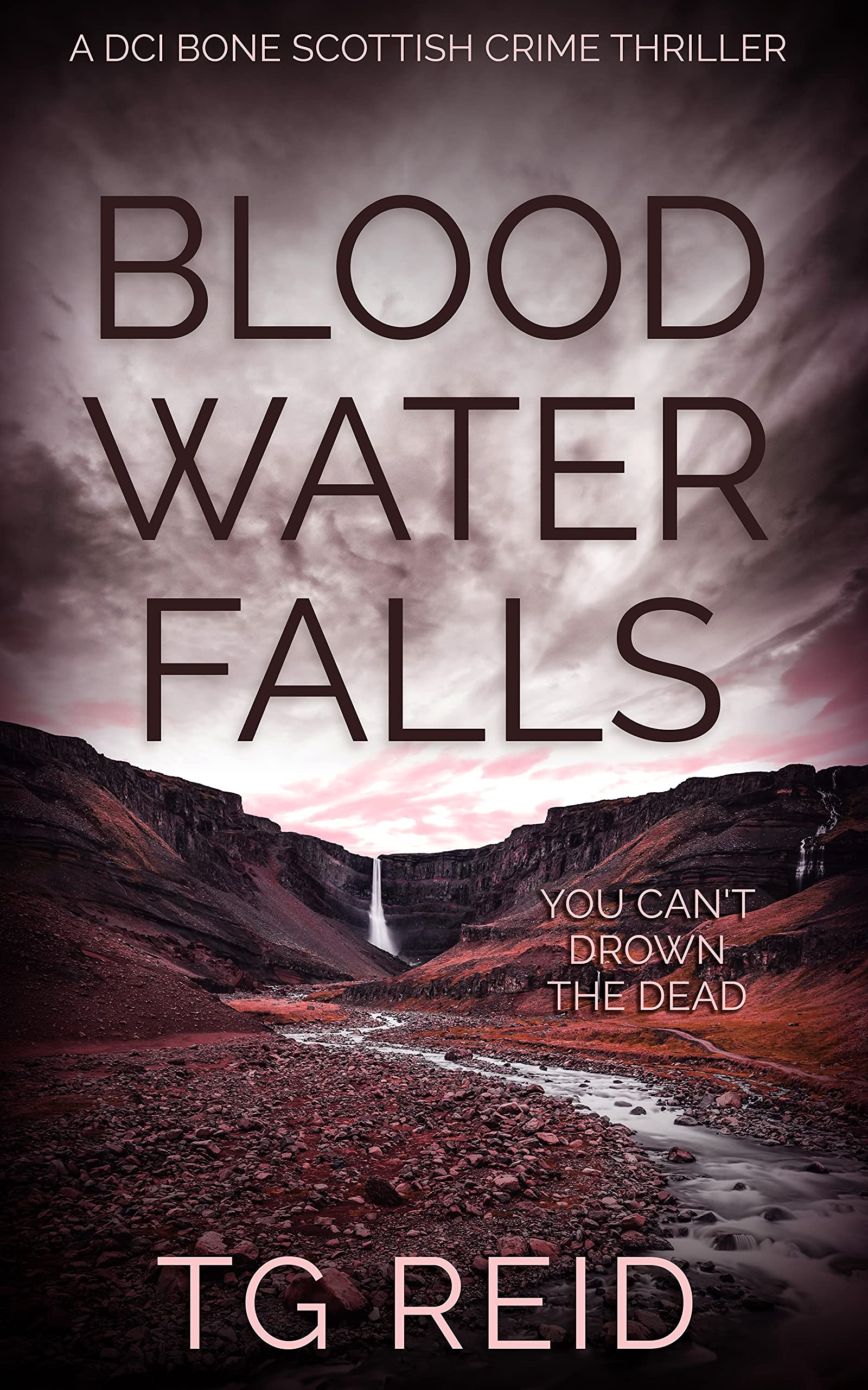 Blood Water Falls (DCI Duncan Bone #2)
