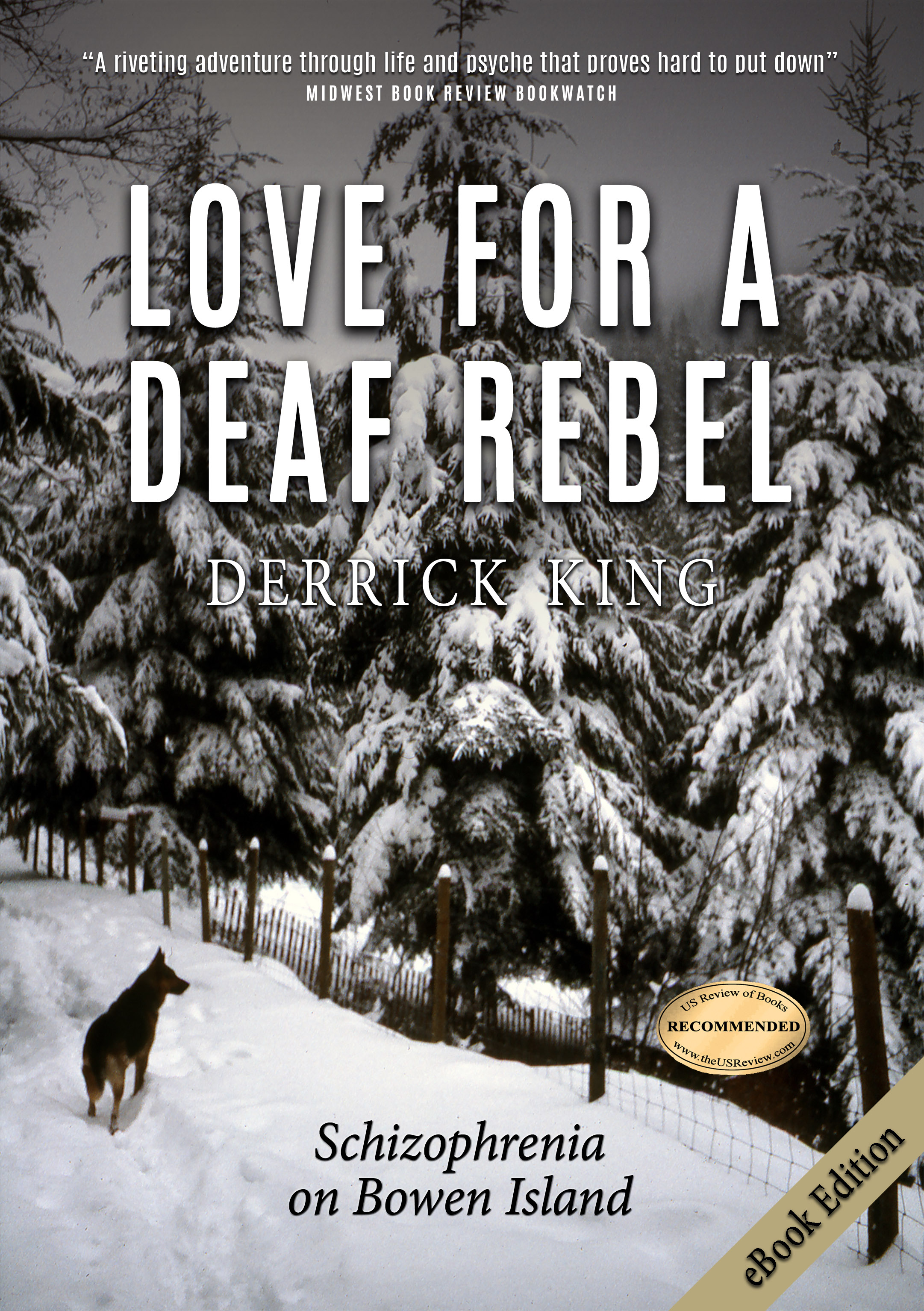 Love for a Deaf Rebel: Schizophrenia on Bowen Island (ebook)