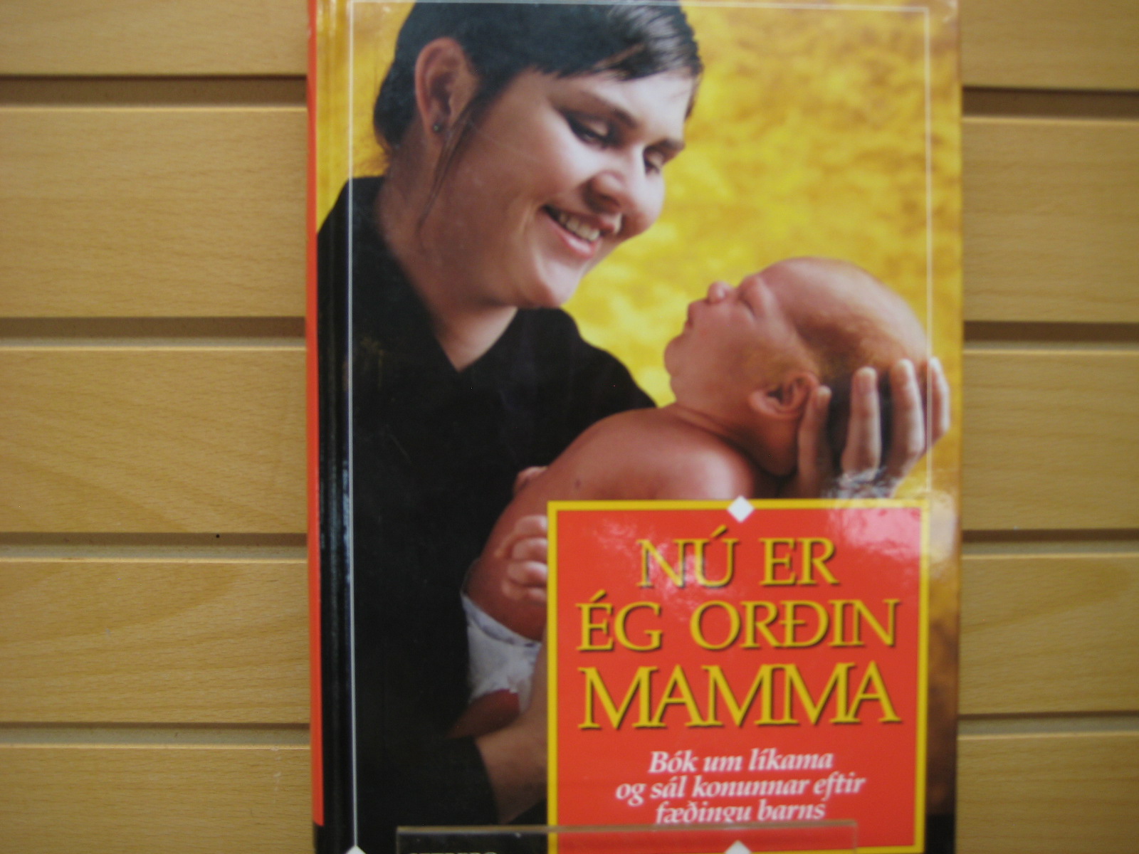 Nú er ég orðin mamma : bók um líkama og sál konunnar eftir fæðingu barns