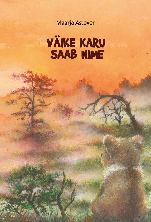 Väike karu saab nime