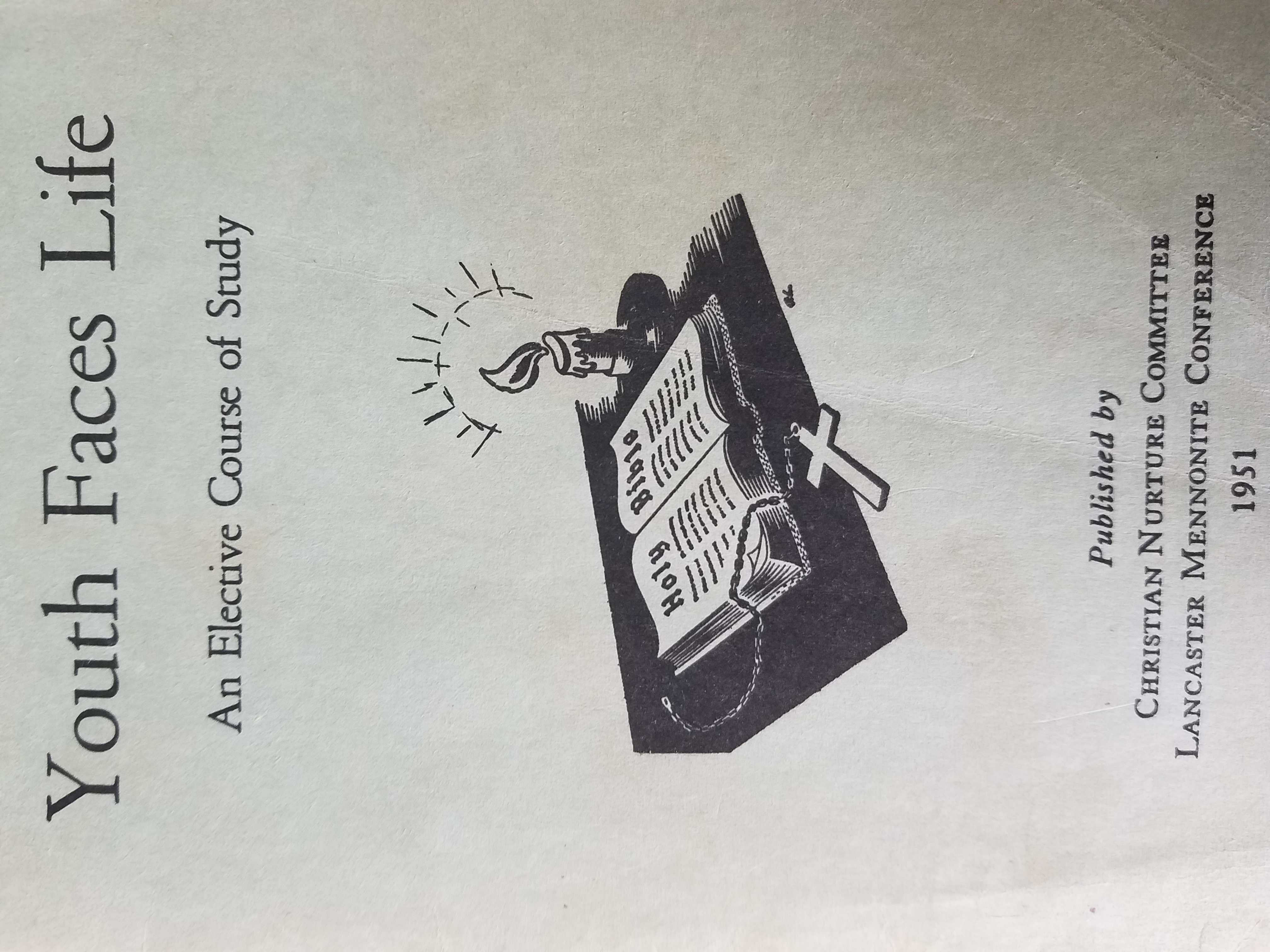 Youth Faces Life: An Elective Course of Study