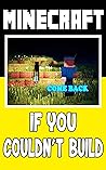 Minecraft: If You Couldn't Build