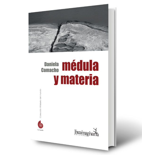 Médula y materia