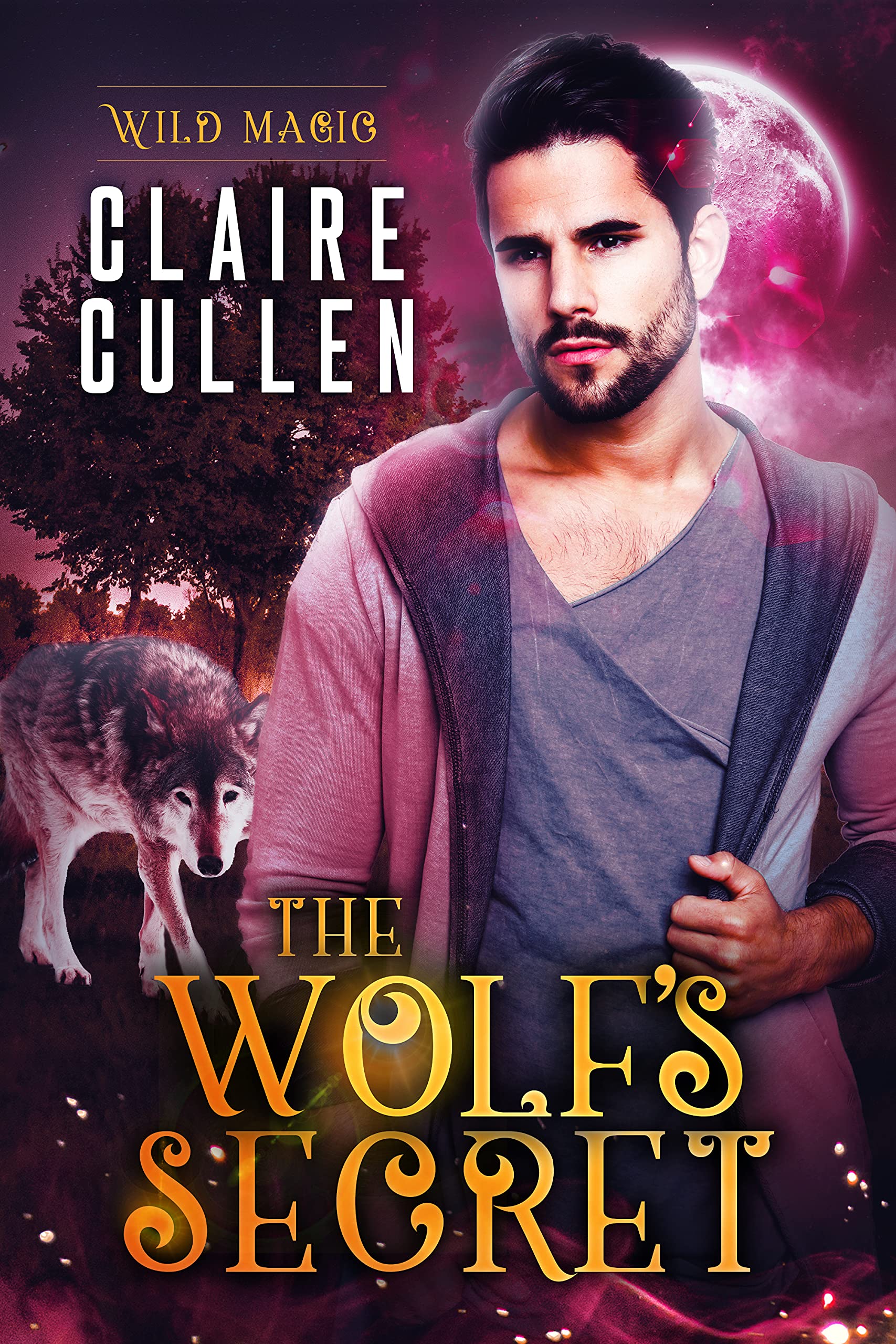 The Wolf's Secret (Wild Magic #4)