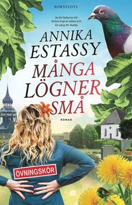 Många lögner små (ebook)
