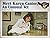 Meet Karen Cantor: An unusual vet (Spotlight books)