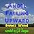 Angel Falling Upward