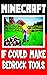 Minecraft: If Could Make Be...