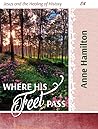 Where His Feet Pass (Jesus and the Healing of History #4)